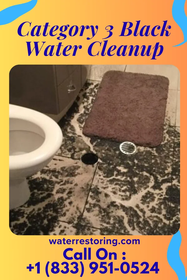 Category 3 Black Water Cleanup in Morrow, OH